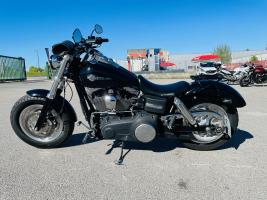 Photo du véhicule HARLEY-DAVIDSON