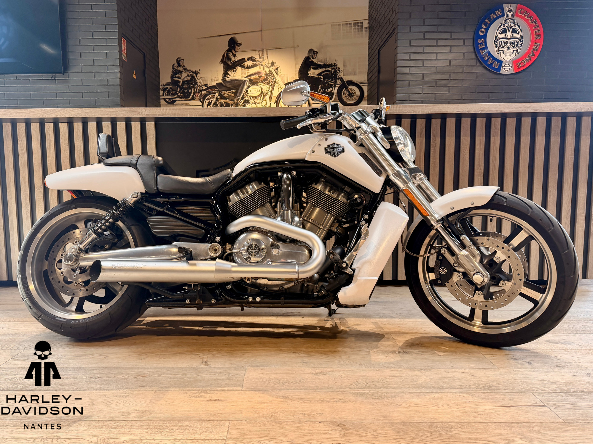 HARLEY-DAVIDSON V-ROD MUSCLE 1250