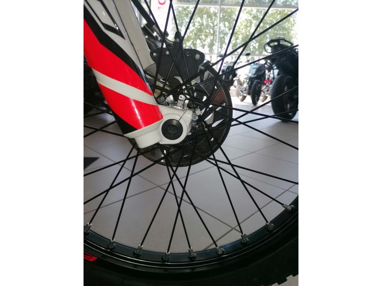 BETA EVO 300 4T