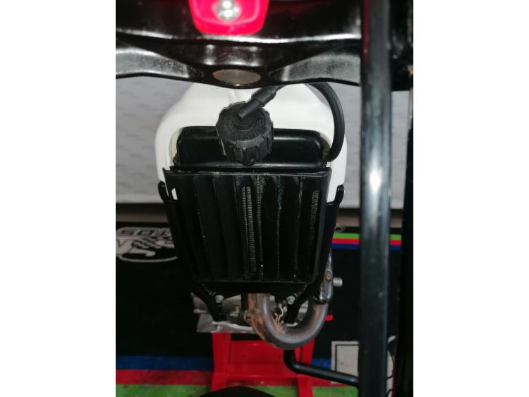 BETA EVO 300 4T