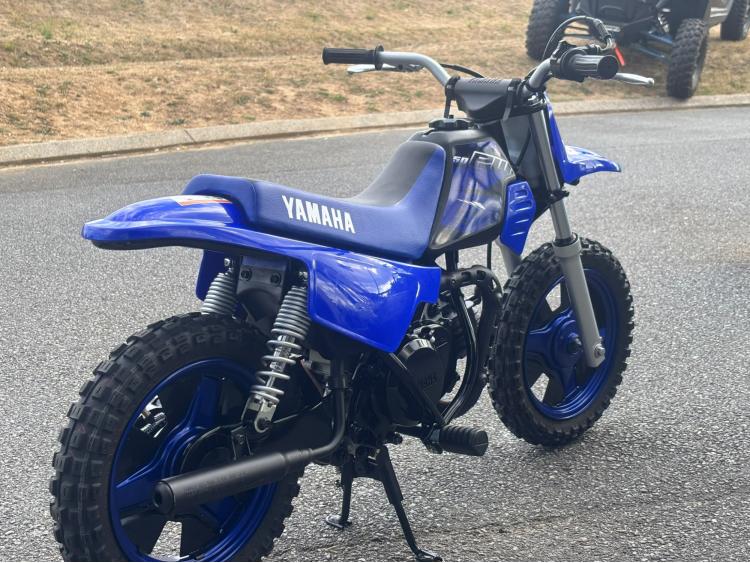 YAMAHA PW50