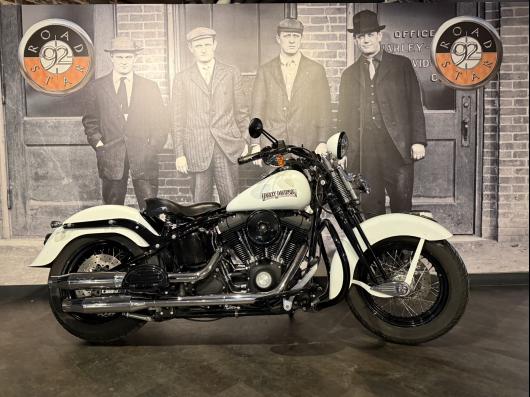 HARLEY-DAVIDSON SOFTAIL SPRINGER 1584 CROSS BONES