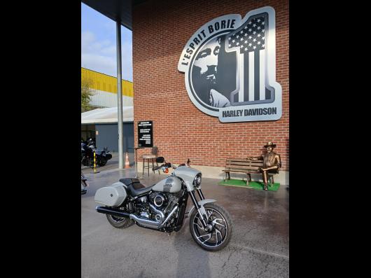 HARLEY-DAVIDSON SOFTAIL SPORT GLIDE 1753