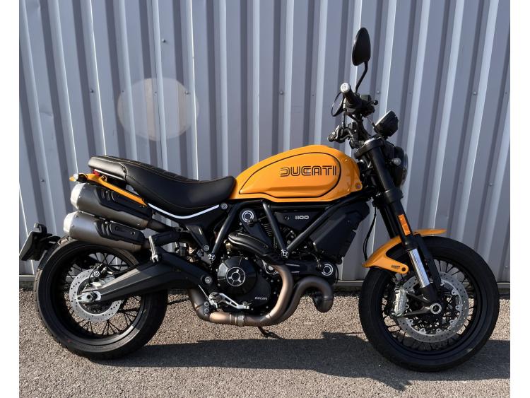 DUCATI SCRAMBLER 1100 TRIBUTE