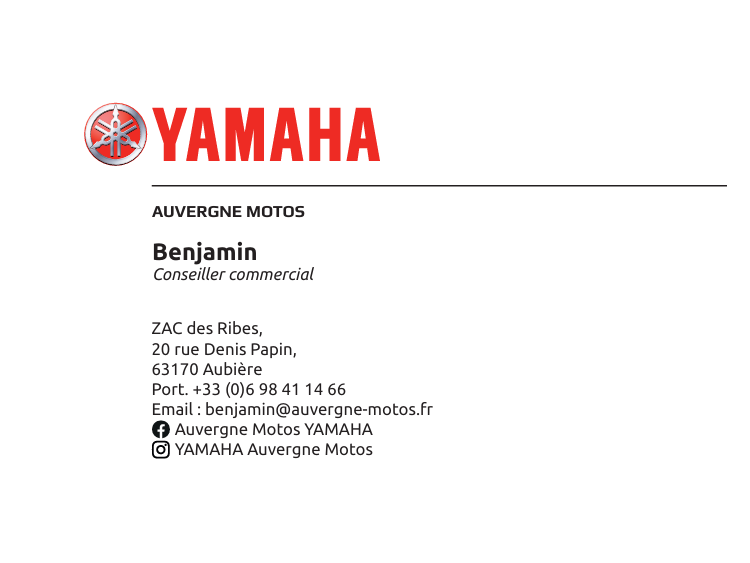 YAMAHA XMAX 300 TECH MAX +