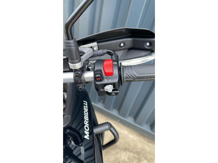 MORBIDELLI T502X