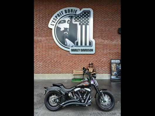 HARLEY-DAVIDSON SOFTAIL CROSS BONES 1584