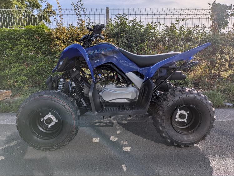 YAMAHA 110 RAPTOR