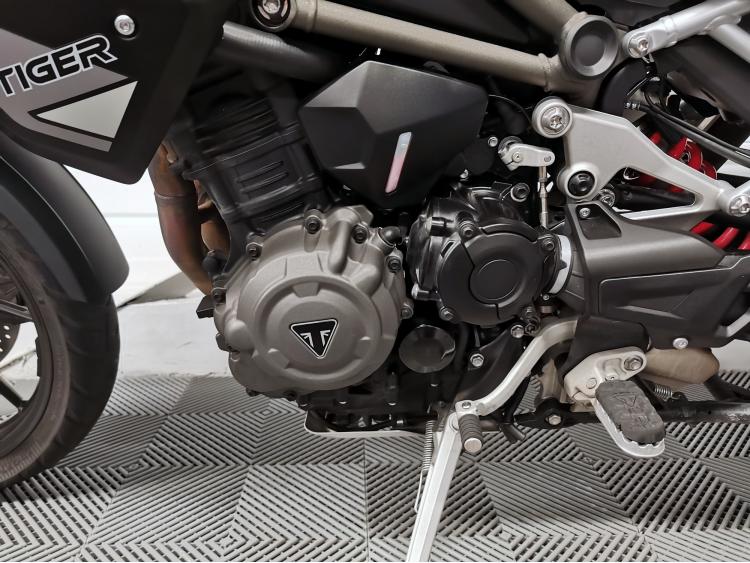 TRIUMPH TIGER 1200 GT PRO 1ERE MAIN 