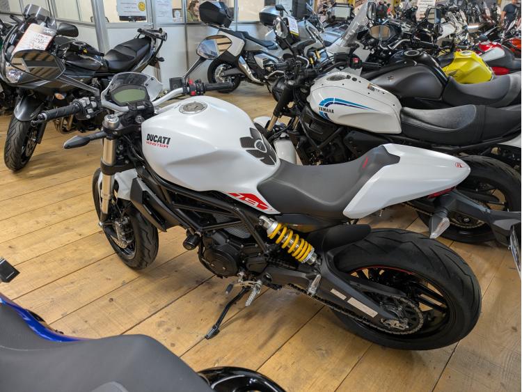 DUCATI MONST.797 47.5