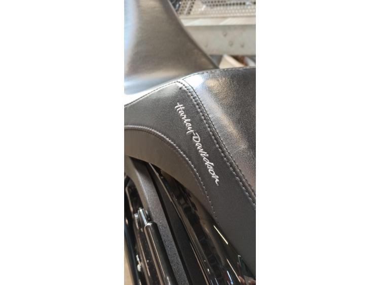 HARLEY-DAVIDSON LOW RIDER S 1868