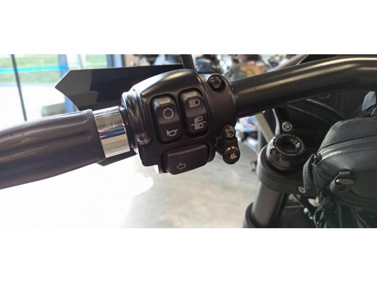 HARLEY-DAVIDSON LOW RIDER S 1868