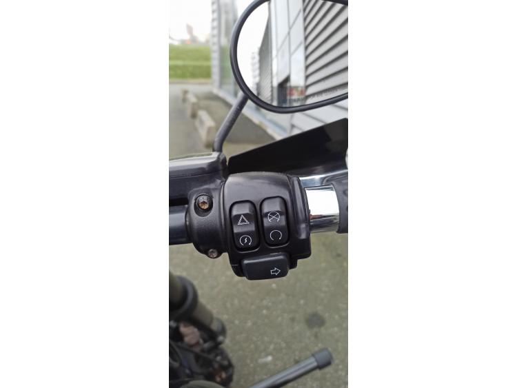 HARLEY-DAVIDSON HARLEY-DAVIDSON LOW RIDER S 1868