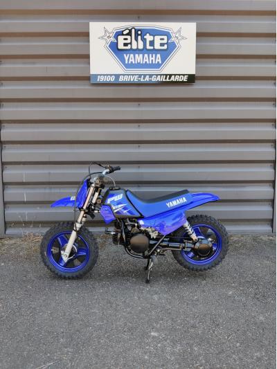 YAMAHA PW50