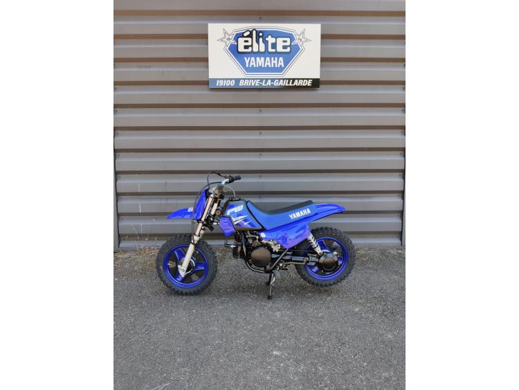 YAMAHA PW50