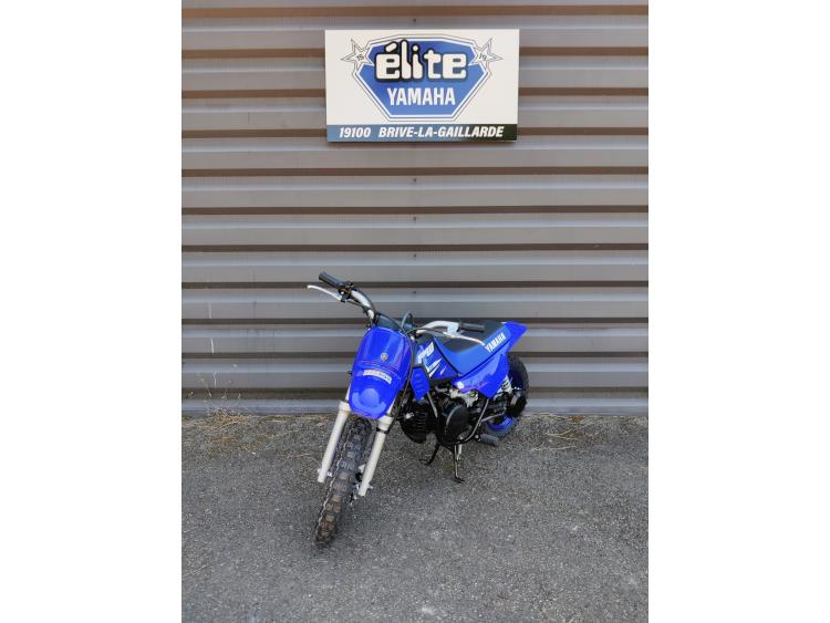 YAMAHA PW50
