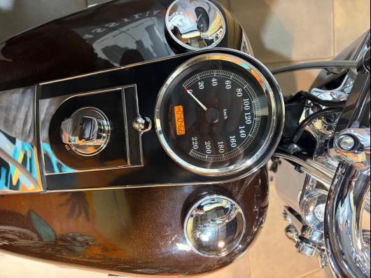 HARLEY-DAVIDSON SOFTAIL DELUXE 1584