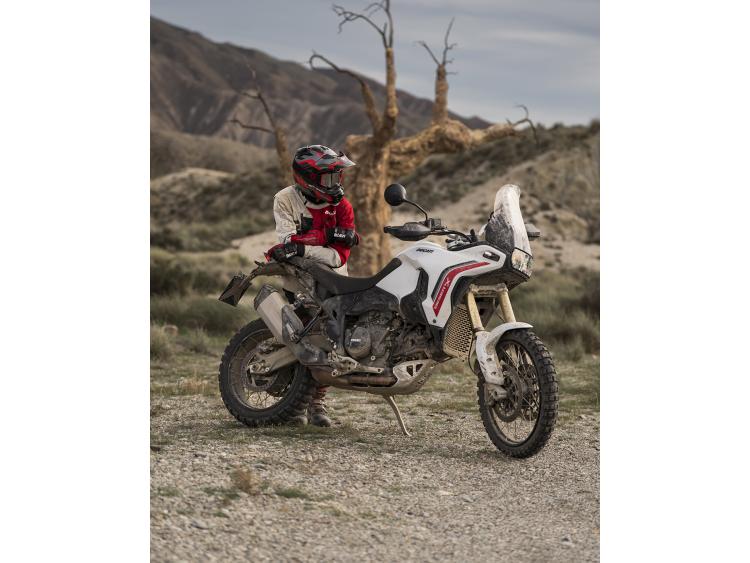 DUCATI NEW DESERT X 