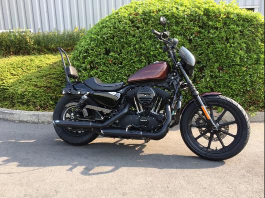 HARLEY-DAVIDSON SPORTSTER 1200 NS