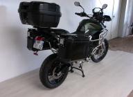 TRIUMPH TIGER 900 RALLY PRO