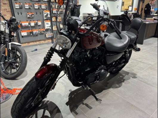 HARLEY-DAVIDSON SPORTSTER 1200 NS