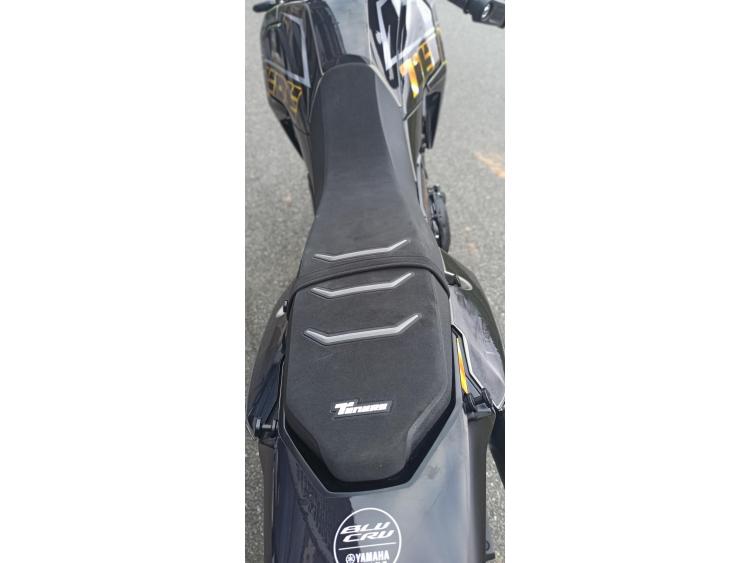 YAMAHA XTZ TENERE 700 35 KW A2