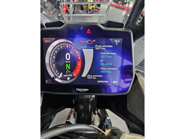 TRIUMPH TIGER 900 RALLY