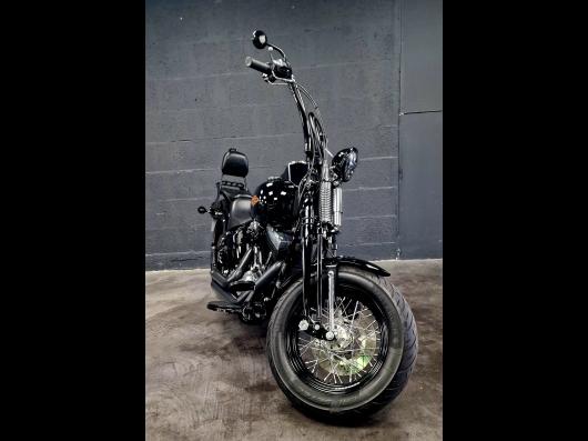HARLEY-DAVIDSON SOFTAIL SPRINGER 1584 CROSS BONES