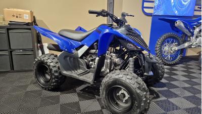 YAMAHA YFM RAPTOR 110