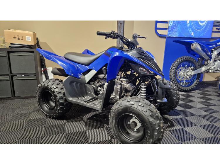 YAMAHA YFM RAPTOR 110
