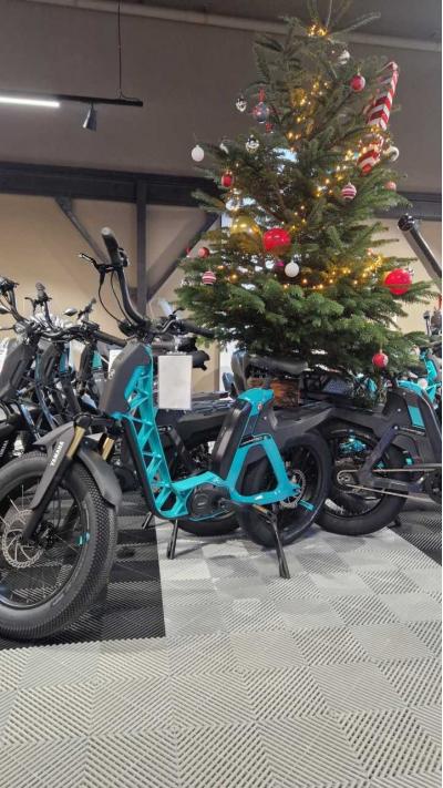 YAMAHA E-Bike BOOSTER Easy