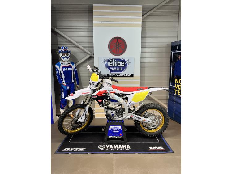 YAMAHA WR 450 F 