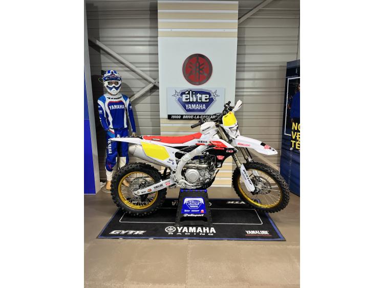 YAMAHA WR 450 F 
