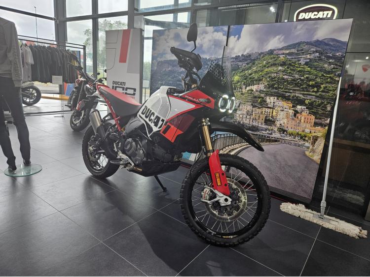 DUCATI DESERT X RALLY