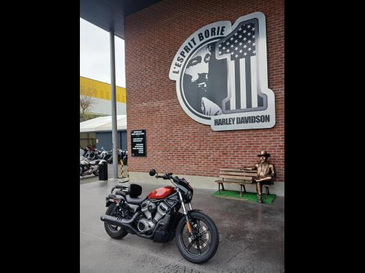 HARLEY-DAVIDSON NIGHSTER-S 975