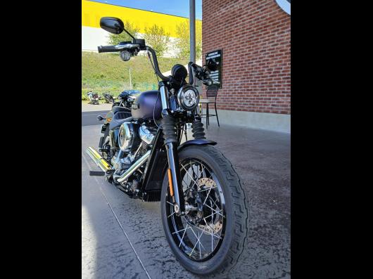 HARLEY-DAVIDSON SOFTAIL STREET BOB 1745