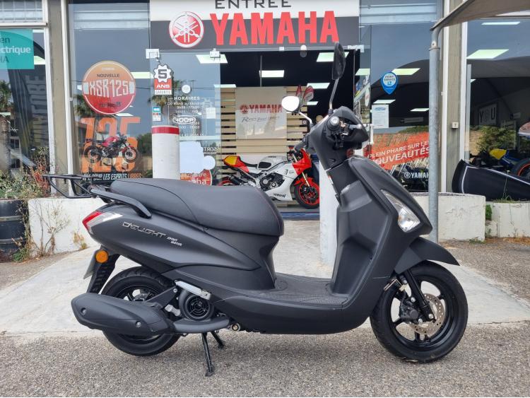 YAMAHA D'ELIGHT