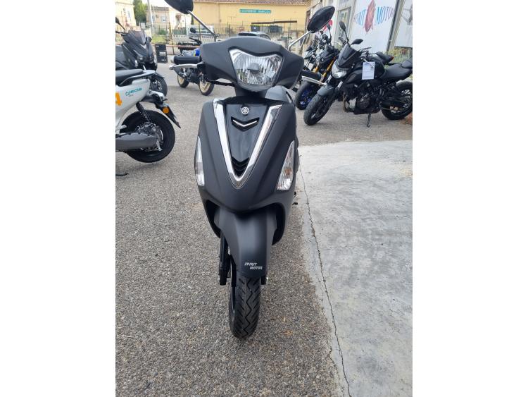YAMAHA D'ELIGHT