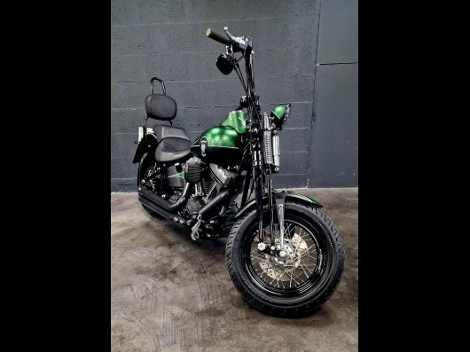 HARLEY-DAVIDSON SOFTAIL CROSS BONES 1584