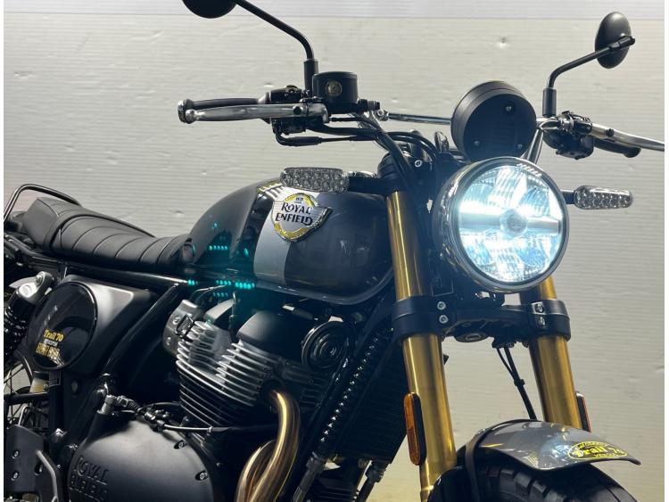ROYAL ENFIELD BEAR 650  Golden Shadow