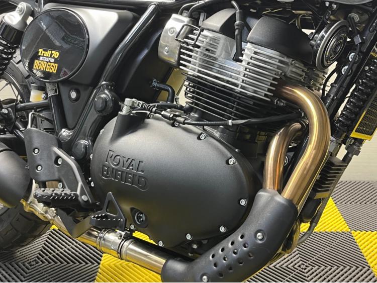 ROYAL ENFIELD BEAR 650  Golden Shadow