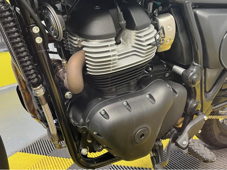 ROYAL ENFIELD BEAR 650  Golden Shadow