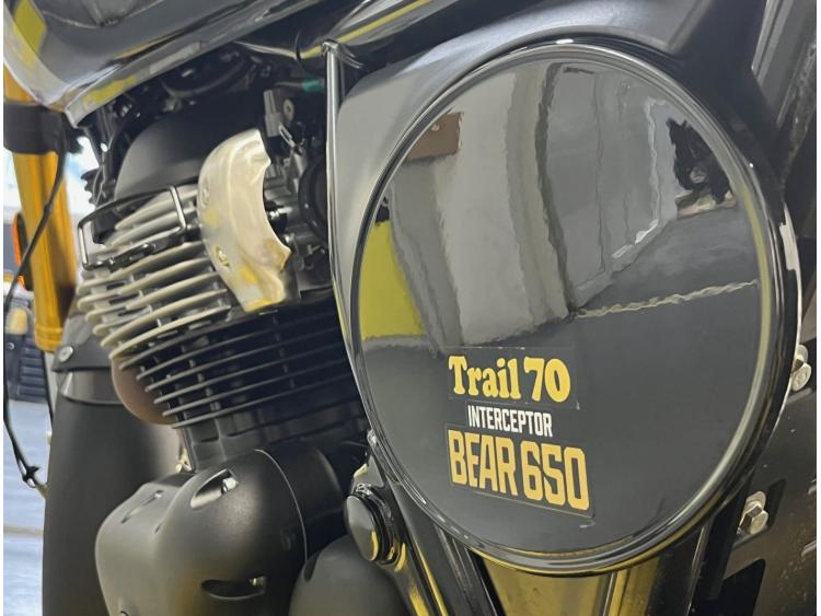 ROYAL ENFIELD BEAR 650  Golden Shadow