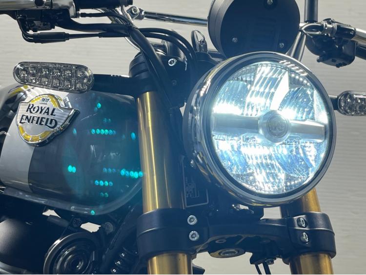 ROYAL ENFIELD BEAR 650  Golden Shadow