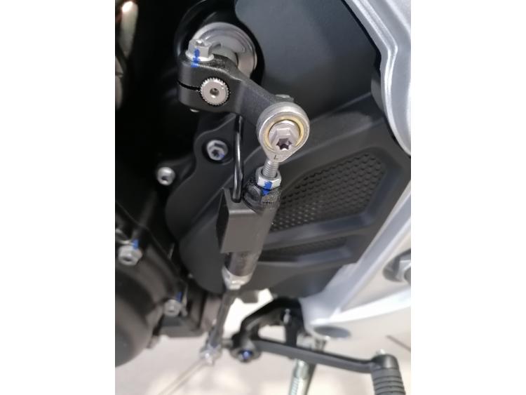 ZONTES 703 RR 2025 pour seulement 147.90€/mois chez DSN MOTOS 33
