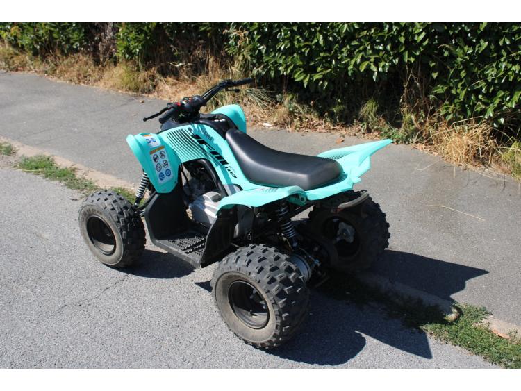 YAMAHA YFM110R **démo**