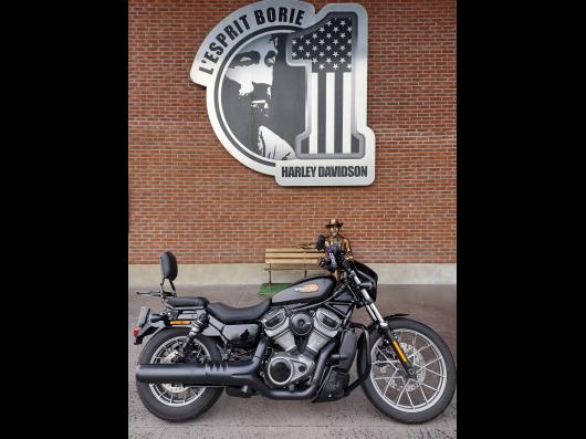 HARLEY-DAVIDSON SPORTSTER NIGHTSTER 975 SPECIAL