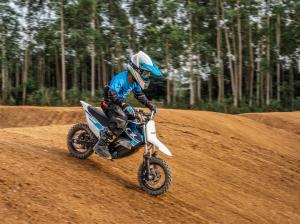 CF MOTO CX-2E