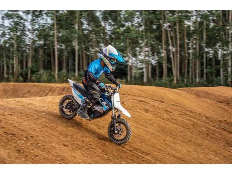 CF MOTO CX-2E