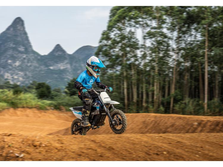 CF MOTO CX-2E